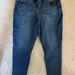 Woman’s 18 18W Democracy Blue Skinny Jeans